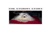 THE STORMY STORY - Yorkie Angel Patrol Web view THE STORMY STORY Imagine a ball of long beautiful white