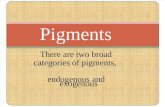 Pigments (((((((((())))))))))