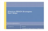 Effective REACH Strategies Next Steps