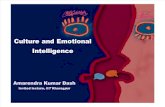 Invited Lecture IIT KGP-- Culture - Emotional Intelligence