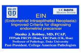 (Endometrial Intraepithelial Neoplasia): Improved Criteria ... Endometrial intraepithelial neoplasia