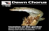 Dawn Chorus - Tiritiri Matangi chorus/Dawn Chorus 93.pdf Dawn Chorus Bulletin 93 ISSN 1171-8595 May