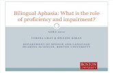 Bilingual Aphasia