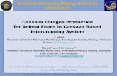 Cassava Forages Production for Animal Feeds in Cassava ... -Cassava leaves contain high quantity of
