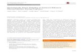Physiologically Based Modelling of Darunavir/Ritonavir ... transport and biotransformation of the drug
