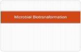 Microbial Biotransformation - sips.org.in Biotransformation designs have been accomplished with tremendous