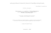 avtoreferati A5.pdf

2 ნაშრომი შესრულებულია შოთა რუსთაველის სახელმწიფო