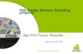 Rijk Zwaan Afrisem Breeding projects ... RZ Afrisem Arusha East-African Highland climate: â€¢High humidity