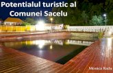 Potentialul turistic al comunei Sacelu 2014. 4. 7.¢  Litiaza renala recidivata, litiaza renala operata,