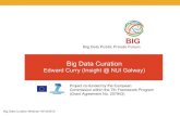 Big Data Curation - pdfs. Big Data Curation Webinar 19/12/2013 BIG Big Data Public Private Forum BIG