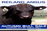 Bull Sale Catalogue 09-0318-RA Autumn- · PDF file Photo: Oga Design Photo: Oga Design LOT 10 LOT 8 REILAND MACQUIRE M519 (APR) REILAND MANCHESTER M1471 Photo: Oga Design Photo: Oga