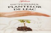 DICȚIONARUL PLANTELR DE LEAC · PDF file Plantele medicinale sunt monumente i minuni ale naturii. Reîntoarcereaș oamenilor spre tratamentele medicinale, spre practicile și terapiile