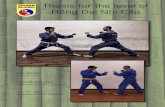 VITTORIO CERA - Vovinam Viet Vo Dao a Milano dal Vovinam cannot stay without the competition, but the