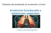 Anatomia funcţională a sistemului respirator · PDF file Aparatul respirator Aparatul respirator este divizat în două porțiuni: •supraglotică (cu funcţii mixte); •infraglotică(cu