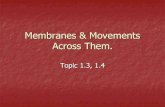 Cell membrane and cell membrane transport