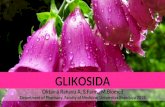 GLIKOSIDA - .â€¢Glikosida mengandung glukosa glukosida â€¢Glikosida mengandung arabinose arabinosida