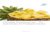 Pineapple processing line - Equipment for Pineapple Plant