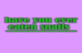 have you ever eaten snails