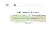 INFORME FINAL - cenma.cl web-LQA/5-Estudios Ambientales/Informe Final...  informe final identificaci“n