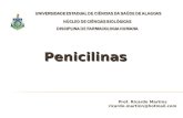 Penicilinas 2013