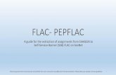 FLAC- PEPFLAC - University of North Carolina Wilmington FLAC/Banner   FLAC- PEPFLAC A guide for the