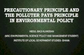 Precautionary principle and the polluter pay principle