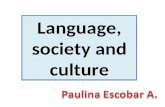 Language, society and culture