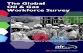 Workforce Survey h1 2013
