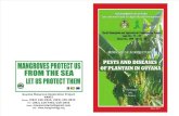 Pest Diseases of Plantain in Guyana