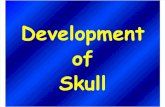 1 Development of Skull