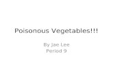 Poisonous Vegetables!!!