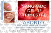 Aborto y embarazo ectopico
