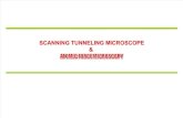 SCANNING TUNNELING MICROSCOPE &  ATOMIC FORCE MICROSCOPY