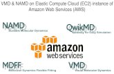 VMD  NAMD on Elastic Compute Cloud (EC2) instance of ...   NAMD on Elastic Compute Cloud (EC2) instance of Amazon Web Services (AWS)