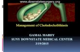 Management of Choledocholithiasis - Department of  ??GAMAL MAREY SUNY DOWNSTATE MEDICAL CENTER 3/19/2015 Management of Choledocholithiasis