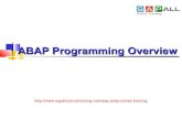 SAP ABAP Training Program