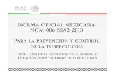 NORMA OFICIAL MEXICANA NOM-006-SSA2-2013 Para la ... Antecedentes Norma Oficial Mexicana NOM-006-SSA2-1993,