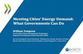 Meeting cities-energy-demand