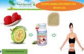 Natural herbal supplements for weight loss