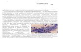 ТУБЕРКУЛЕЗ · PDF file 2012. 10. 11. · ТУБЕРКУЛЕЗ" Туберкулез - хроническое инфекционное заболевание , при котором