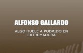 Alfonso Gallardo