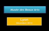 Mus©e des Beaux Arts Lyon