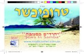 Capa cd tropicasher in hebrew