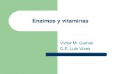 Enzimas y vitaminas Vitaminas liposolubles: E Vitaminas liposolubles: E Vitaminas liposolubles: K Vitaminas