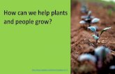 How can we help plants and people grow?
