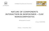 Biopolymer-clay nanocomposites