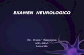 Present examen  neurologico