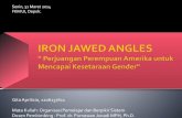 iron jawed angles