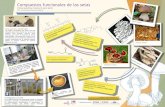 Compuestos funcionales de las setas - UAM · PDF file 2018. 5. 4. · Los hongos comestibles (las setas) han sido utilizados desde hace milenios por las culturas asiáticas como potentes