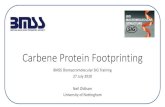 Photochemical Protein Footprinting - BMSS ... Carbene Protein Footprinting BMSS Biomacromolecular SIG